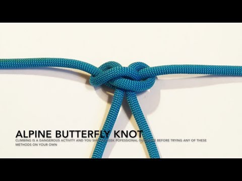 Alpine butterfly