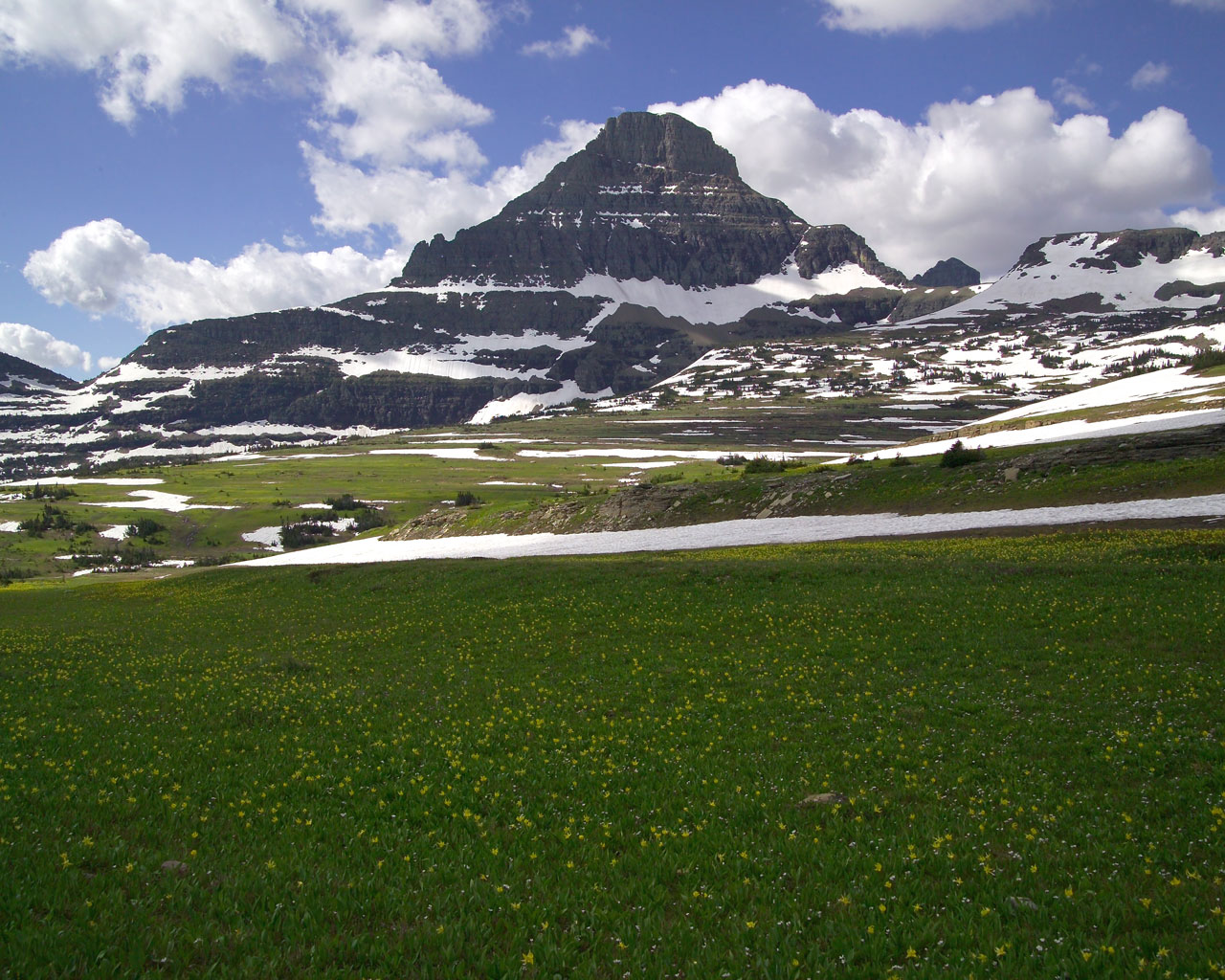 Mount Reynolds at Logan Pass, Glacier National Park — the summit objective on Swiftsure Ridge — via Wikimedia Commons